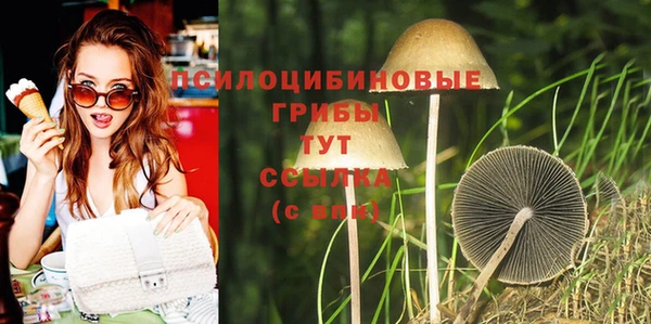 стаф Абаза