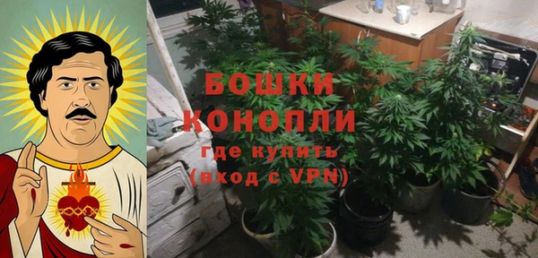 стаф Абаза