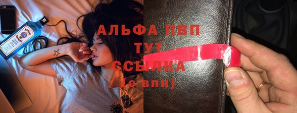 стаф Абаза