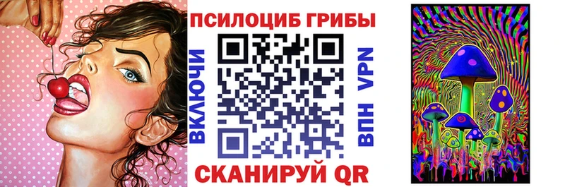 Галлюциногенные грибы Psilocybe  площадка клад  Балаково  блэк спрут ONION 