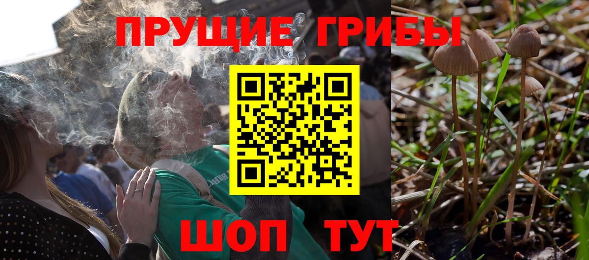 Балаково  купить   Вход с VPN  Псилоцибиновые грибы MAGIC MUSHROOMS 