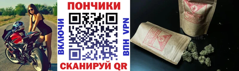 купить наркотик Балаково Конопля план
